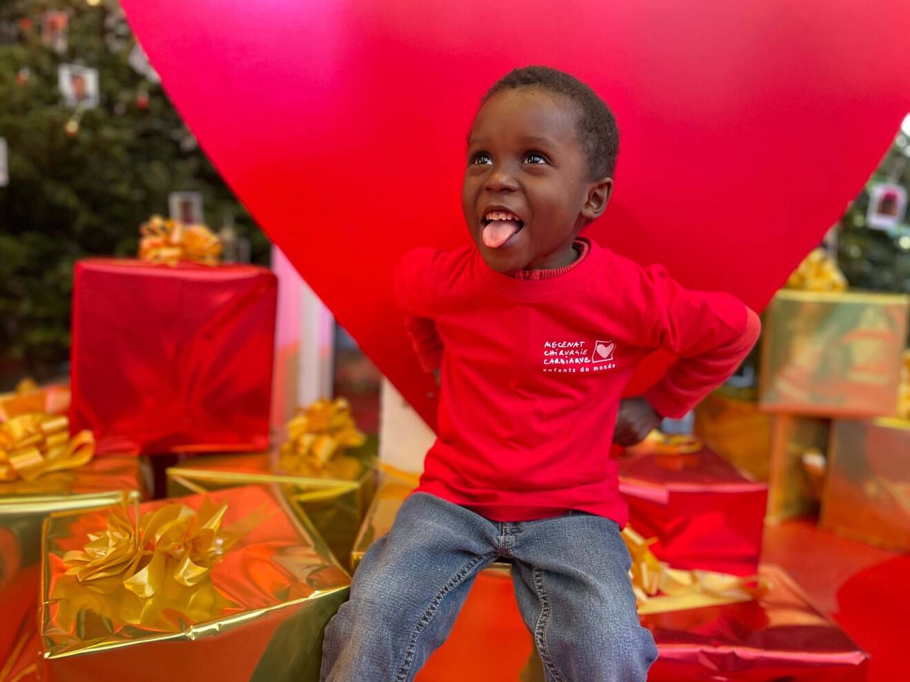 mecenat-chirurgie-cardiaque-enfants-grande-vente-de-noel-8-1.jpeg