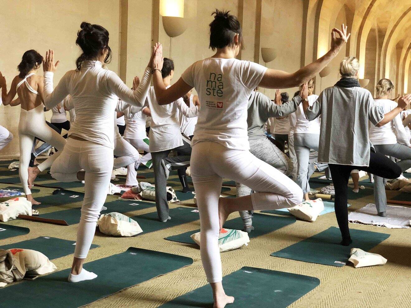 mecenat-chirurgie-cardiaque-yogis-du-coeur-orangerie-chateau-de-versailles-les-amazonnes-parisiennes-yoga-2.jpeg